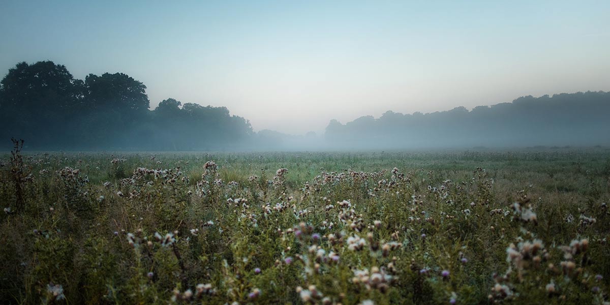 So You Inherited Land, Now What?